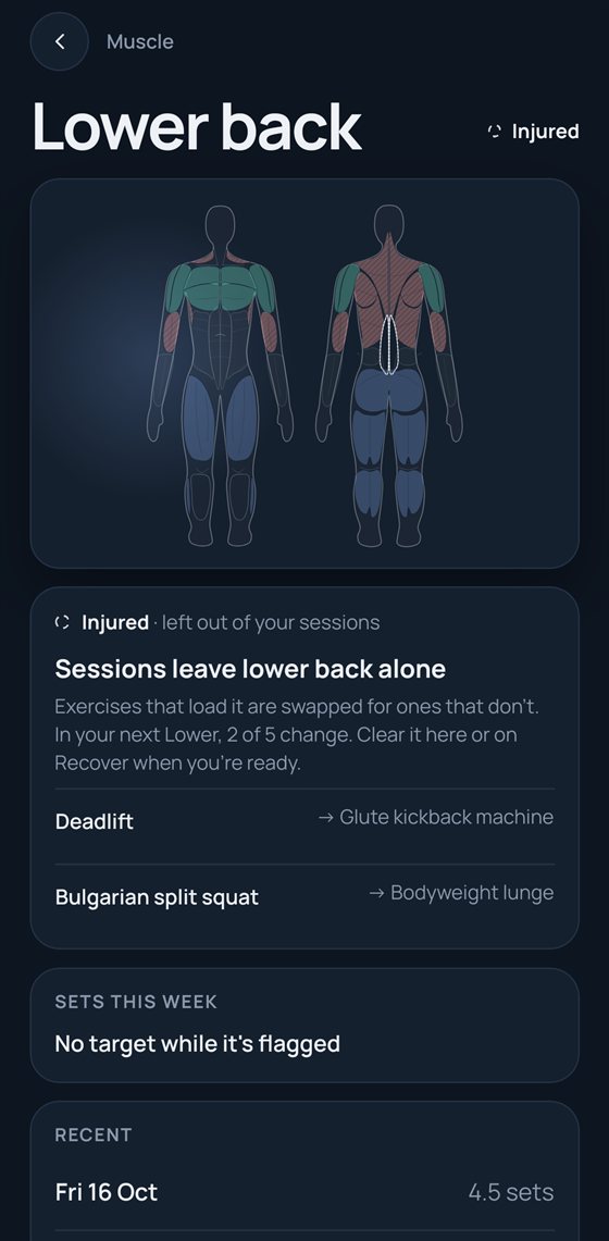 Injury flag
